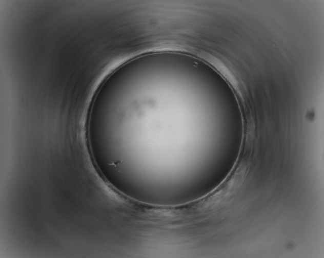 X0000103501197200809121731