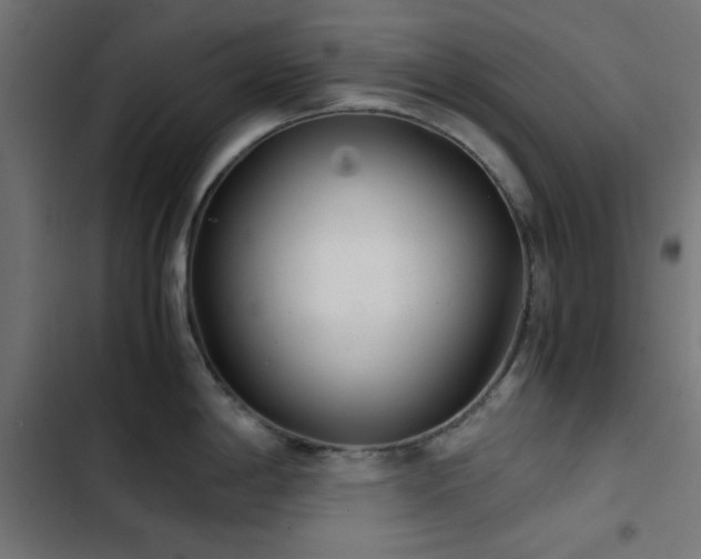 X0000103501198200809121731