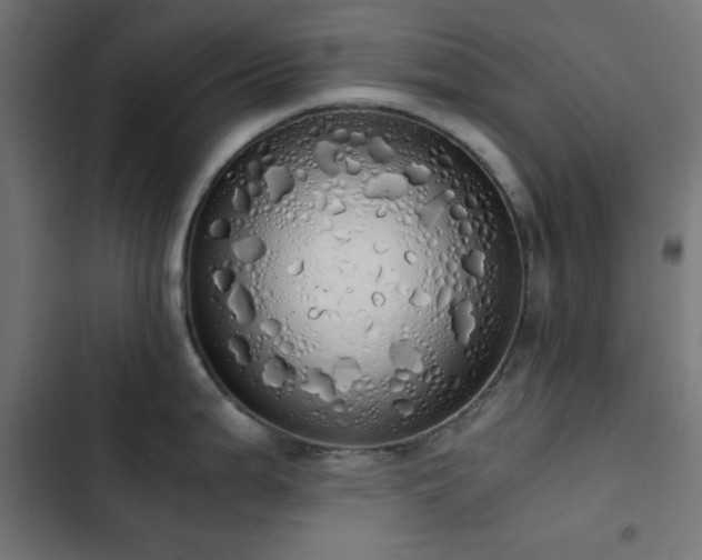 X0000103501199200809121731