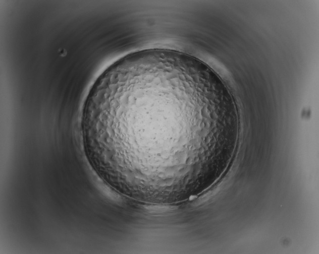 X0000103501200200809121731