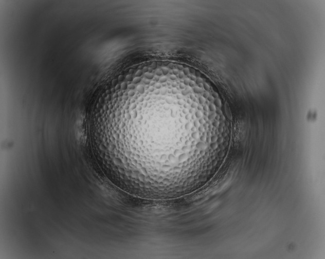 X0000103501202200809121730