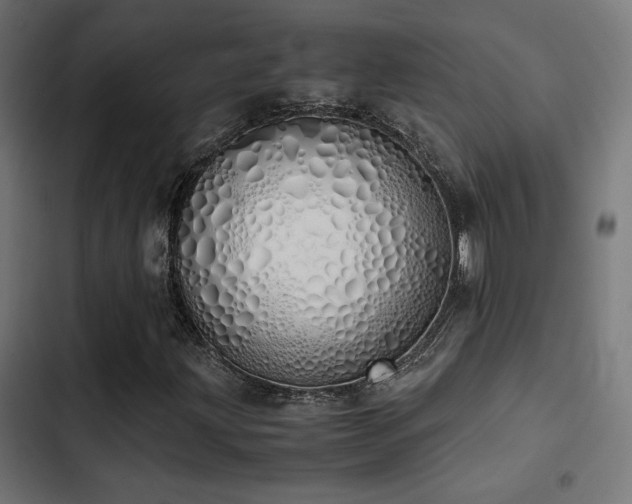 X0000103501203200809121730