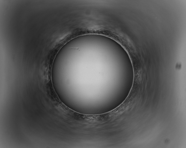 X0000103501205200809121730