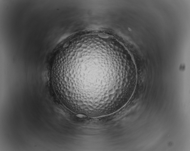 X0000103501206200809121730