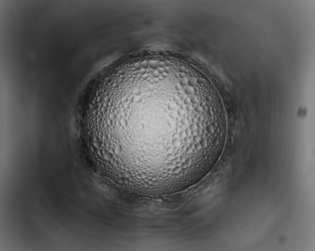 X0000103501207200809121730