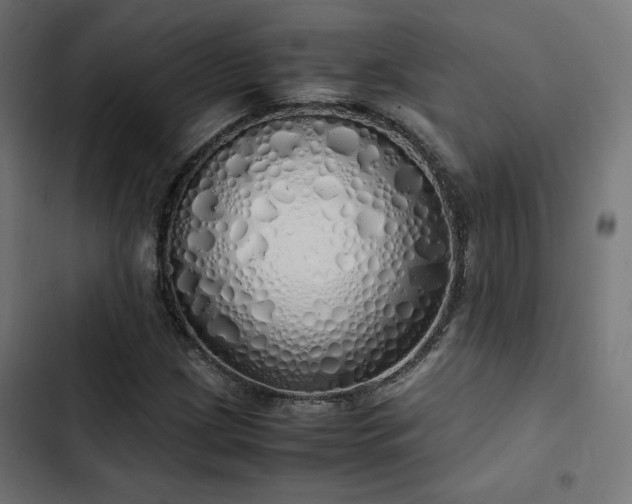 X0000103501209200809121730