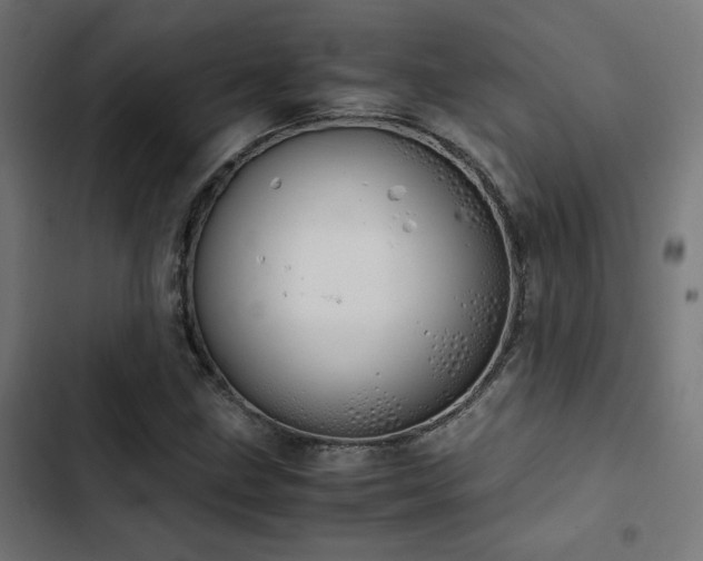 X0000103501211200809121730