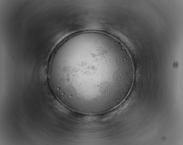 X0000103501212200809121730