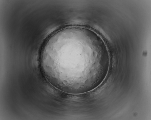 X0000103501213200809121730