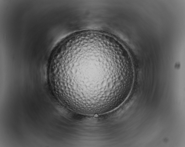 X0000103501214200809121731