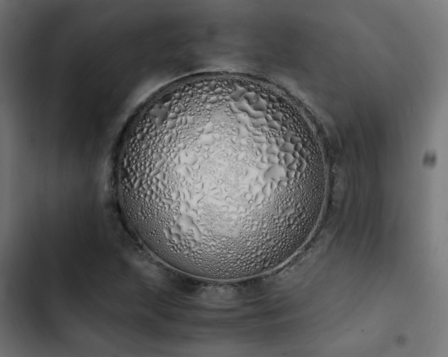 X0000103501215200809121731