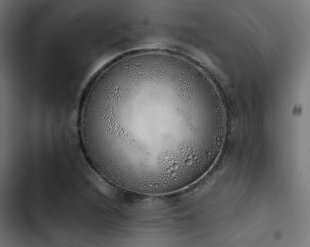 X0000103501216200809121731