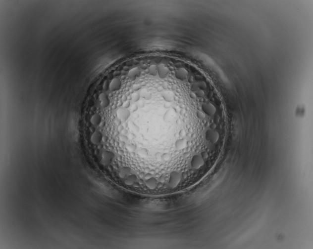 X0000103501217200809121731