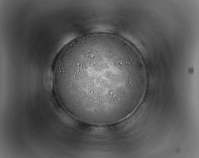 X0000103501219200809121731