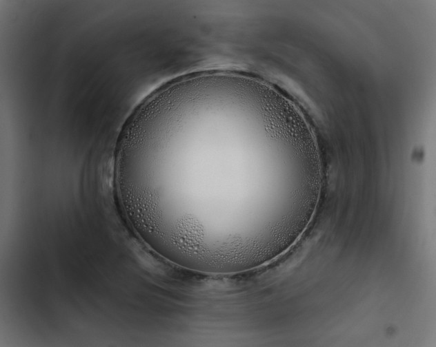 X0000103501220200809121731