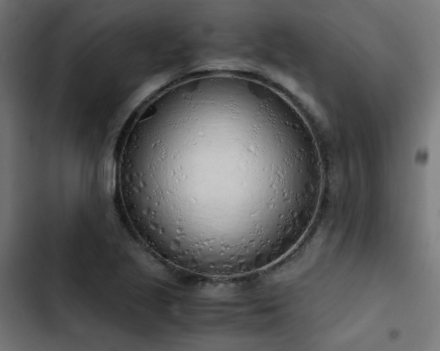 X0000103501221200809121731