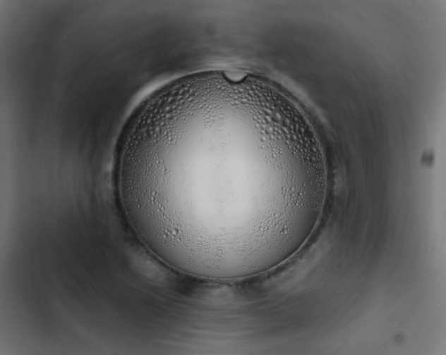 X0000103501222200809121731