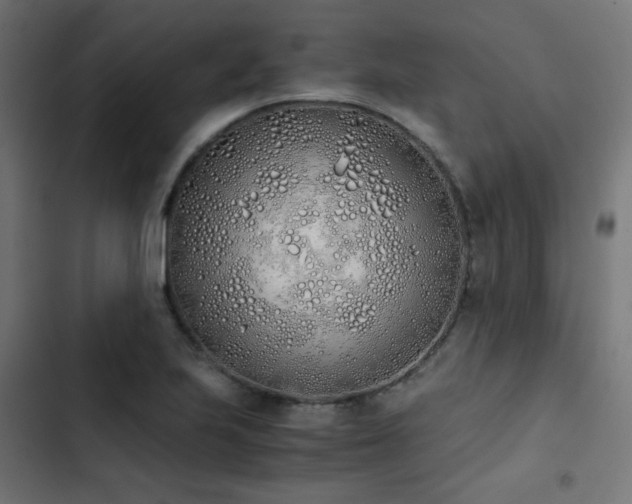 X0000103501223200809121731