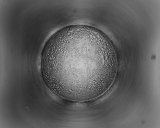 X0000103501224200809121731