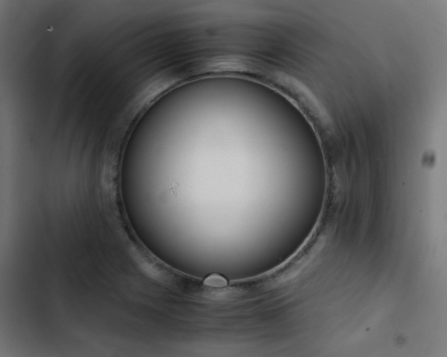 X0000103501225200809121731