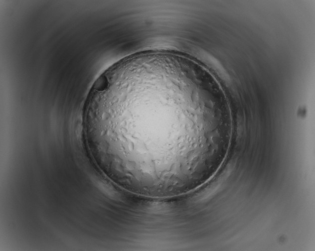 X0000103501226200809121731