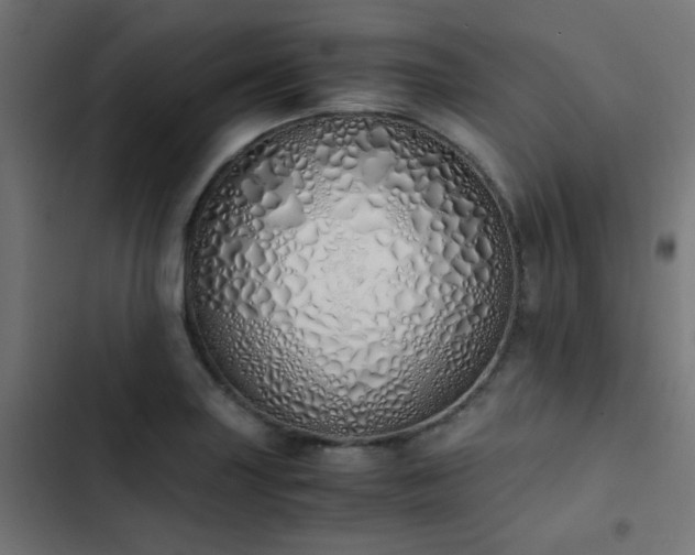 X0000103501227200809121731