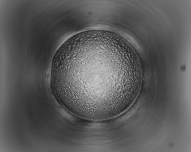 X0000103501228200809121731