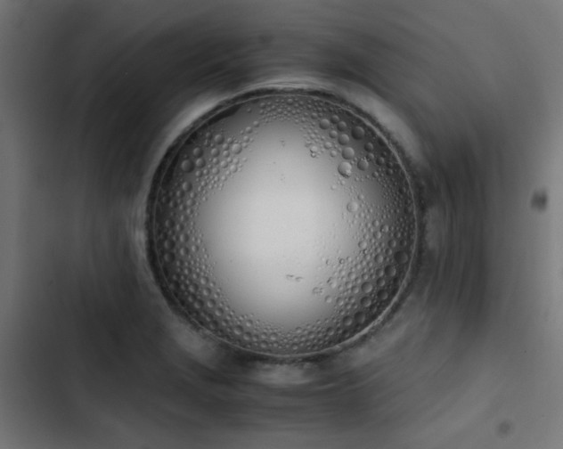 X0000103501229200809121731