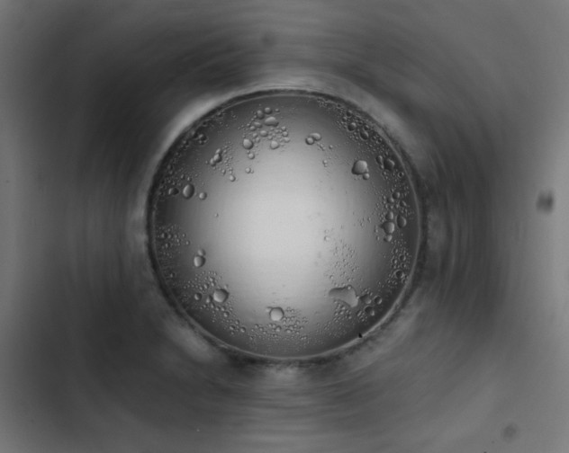 X0000103501230200809121731