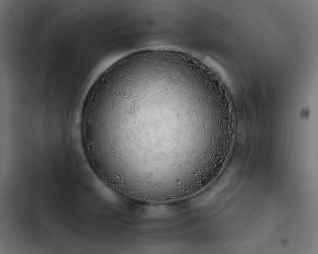 X0000103501231200809121731