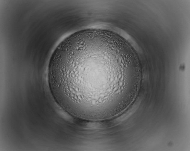 X0000103501232200809121731