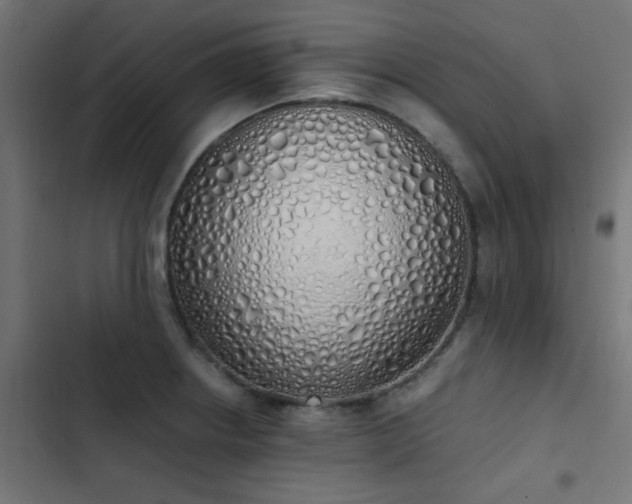 X0000103501234200809121731