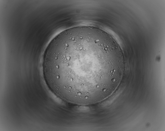 X0000103501235200809121731