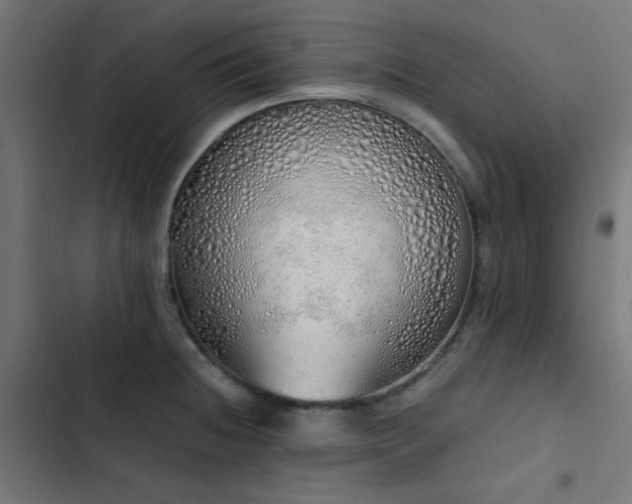 X0000103501236200809121731