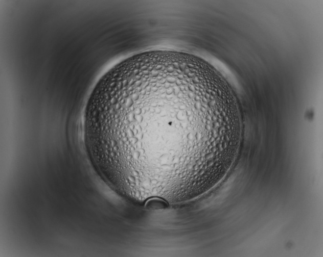 X0000103501238200809121731