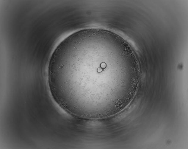 X0000103501239200809121731