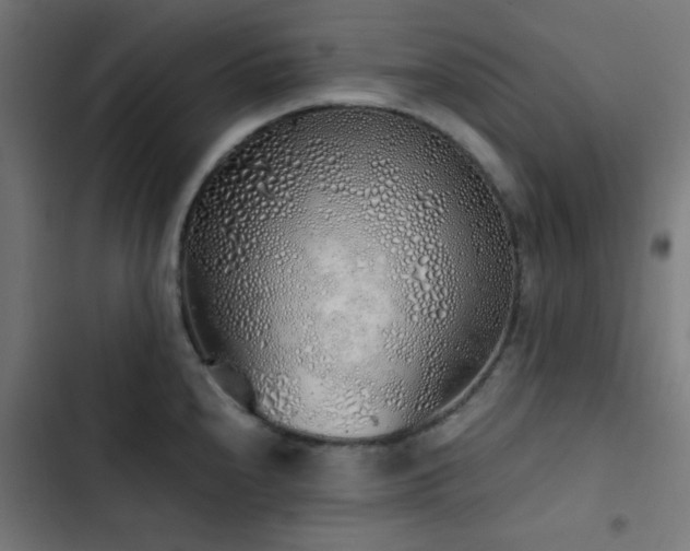 X0000103501240200809121731