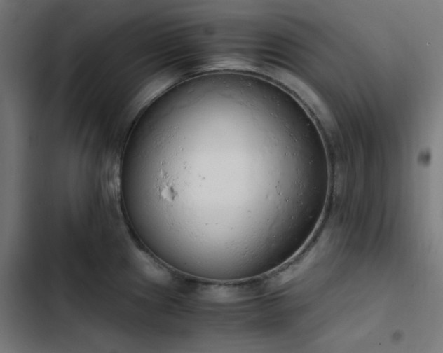 X0000103501241200809121731