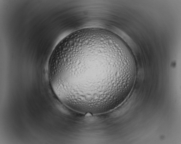 X0000103501242200809121731