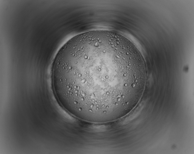 X0000103501243200809121731