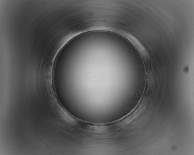 X0000103501244200809121731