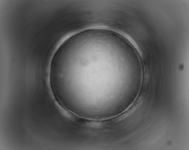 X0000103501245200809121731