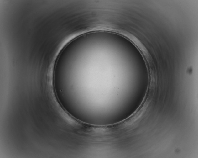 X0000103501246200809121731