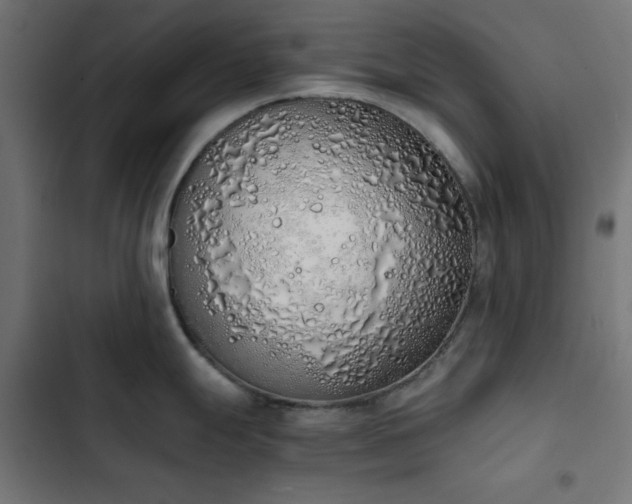 X0000103501247200809121731