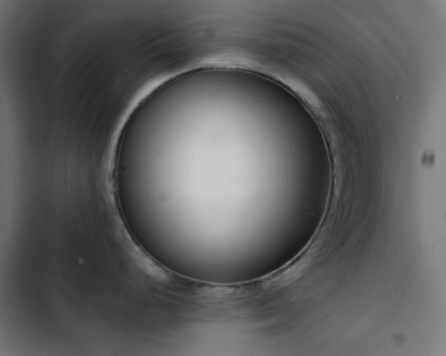 X0000103501248200809121731