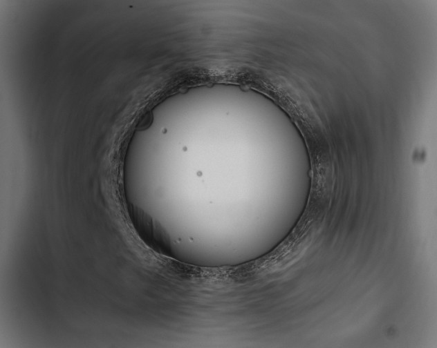 X0000103501249200809121730