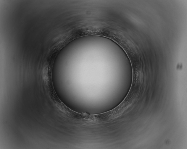 X0000103501250200809121730