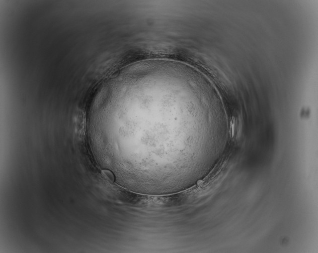 X0000103501251200809121730