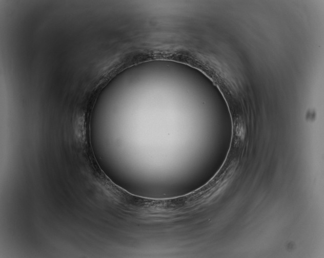 X0000103501252200809121730