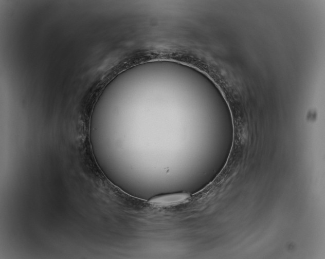 X0000103501253200809121730